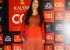 celebrity-cricket-league-3-curtain-raiser-event-gallery-102_571dde649794d