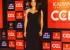 celebrity-cricket-league-3-curtain-raiser-event-gallery-108_571dde649794d