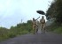 shivaji-rajas-police-paparao-movie-stills-8_571f18a9c1811