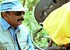 Balu Mahendra to start film institute