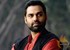 Abhay Deol: Production well thought-out decision