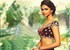 Deepika to sport royal style in 'Bajirao Mastani': Anju Modi
