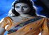 Namitha to have international co-stars