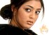 Parvati Melton's plans