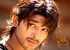 Sankranti to see huge releases