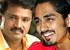 Siddharth, Cheran to tango!