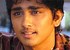 Siddharth in a Bollywood flick 