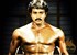 Sunil Poola Rangadu Box Office Report 