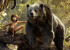 'The Jungle Book' First Week Collection! Heighest ever for an Hollywood Movie in India