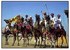 Bikaner camel race fascinates tourists 