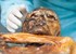 Iceman Otzi's gut bug sheds light on human migration