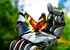 Robohand: DARPA's bionic arm can be controlled by your brain