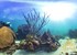 'Street view' goes undersea to map reefs, wonders