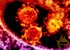 Deadly respiratory disease MERS spreads to Iran