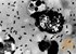 Health officials: Elderly Utah resident dies from plague