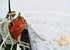 Icebreakers racing to rescue ship trapped in ice near Antarctica