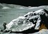Rare Moon mineral found in Australia 