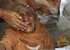 Suicide car blast in northwest Pakistan, 5 killed